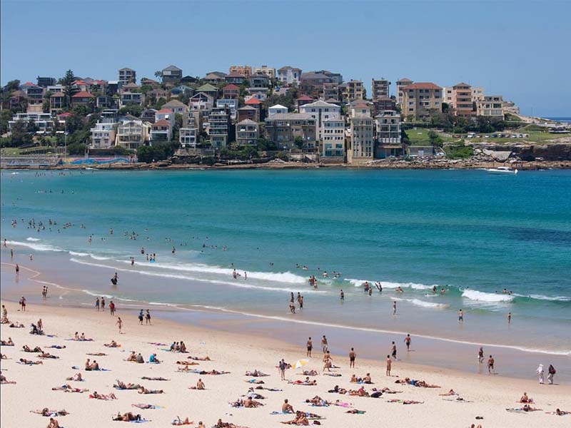 Buyers Agent Purchase in North Bondi, Sydney - Location