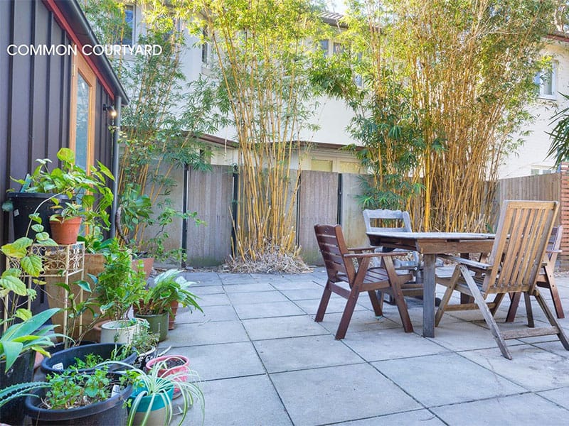 Buyers Agent Purchase in Bondi Beach, Sydney - Backyard