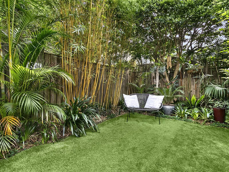 Buyers Agent Purchase in St James Bondi Junction, Sydney - Garden