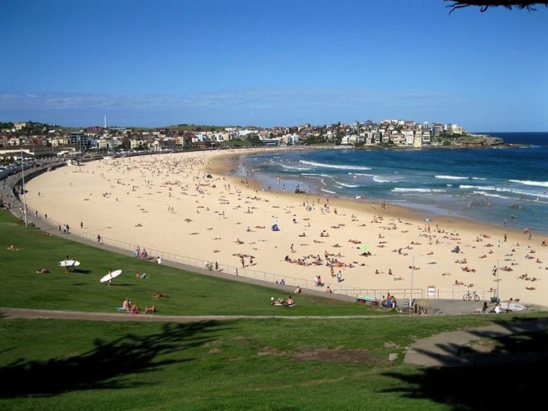 Birrell Bondi Home Buyer - Beach View