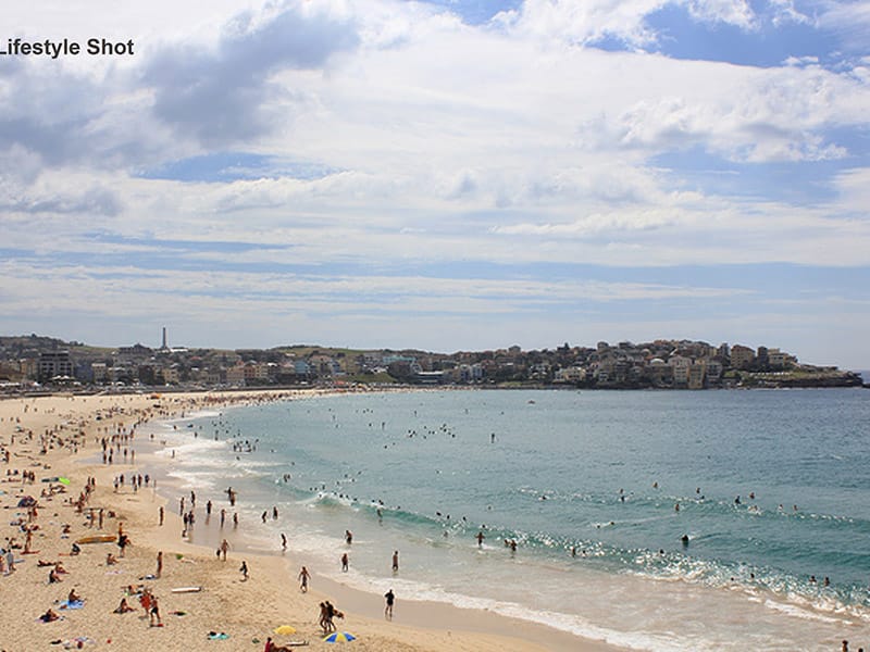Bondi Beach Investor - Beach View