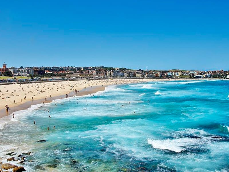 North Bondi Buyers Agent Purchase - Beach View